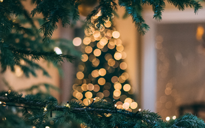 Weihnachten auf der Insel
