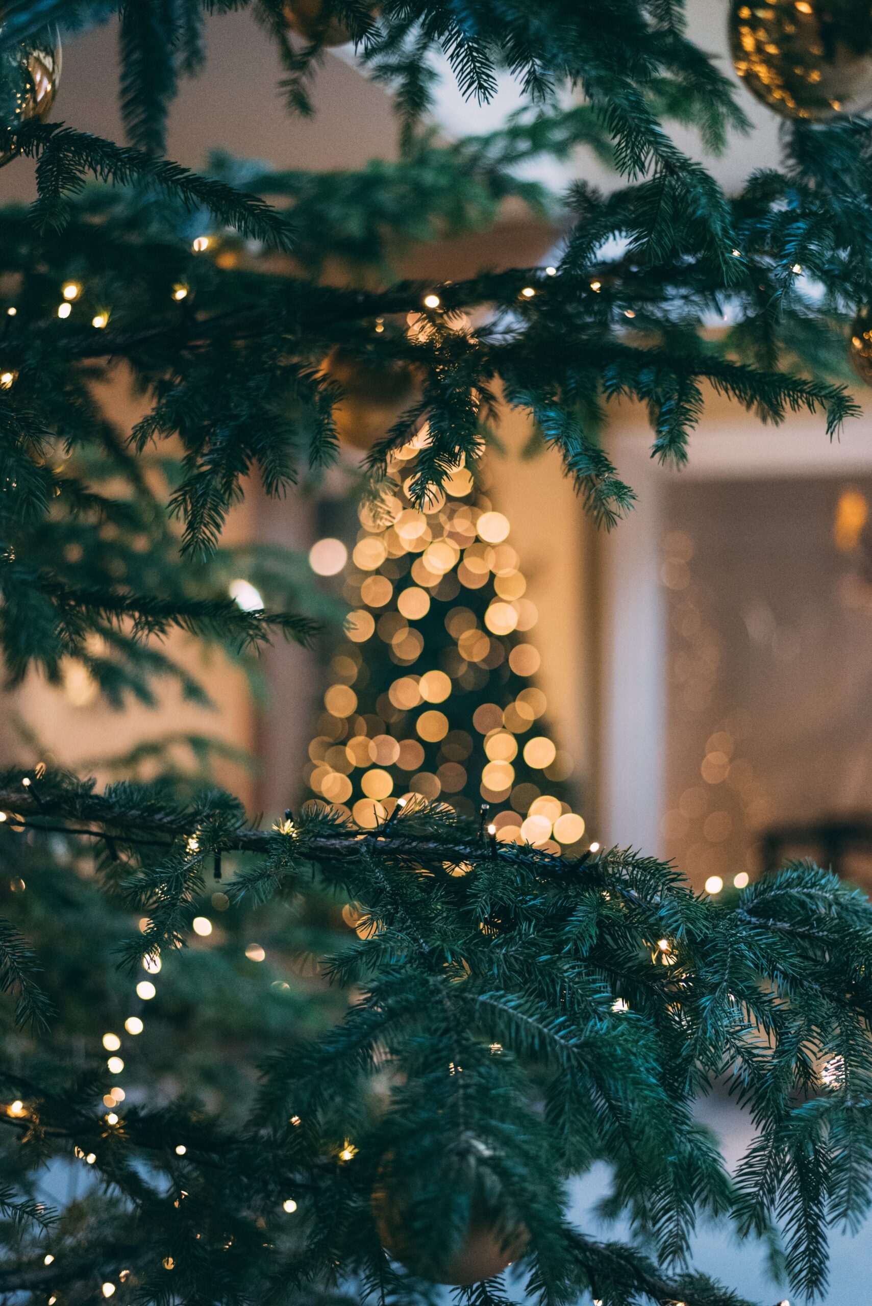 mourad-saadi-ZXbeOqF1NFQ-unsplash weihnachten-im-doppelpack-schlosswirtschaft-luitpold-weihnachten-feiern-am-chiemsee-paket2